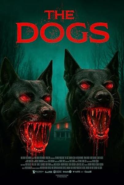 فيلم The Dogs 2025 مترجم