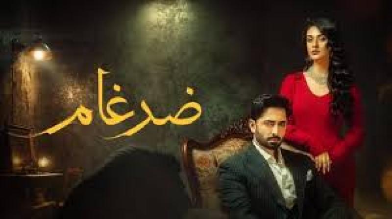 مسلسل ضرغام الموسم الاول الحلقة 19 مدبلجة