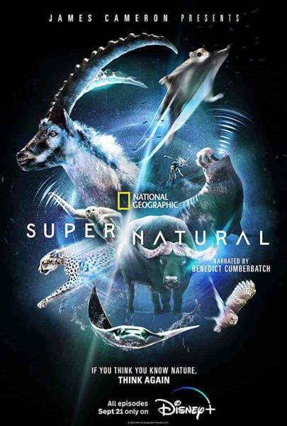 مسلسل Super Natural الموسم الاول الحلقة 1 الاولي مترجمة