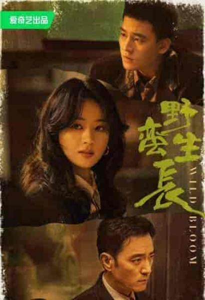 مسلسل النمو الوحشي Wild Bloom الحلقة 14 مترجمة