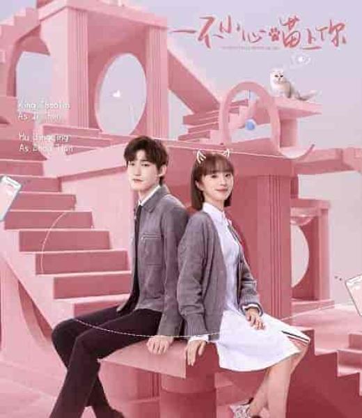 مسلسل مؤاء مؤاء يرتبط بالحب Accidentally Meow on You الحلقة 17 مترجمة