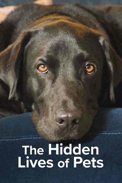 مسلسل The Hidden Lives of Pets الموسم الاول الحلقة 3 مترجمة
